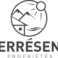 Logo TS Proprietes Gris