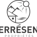 Logo TS Proprietes gris2