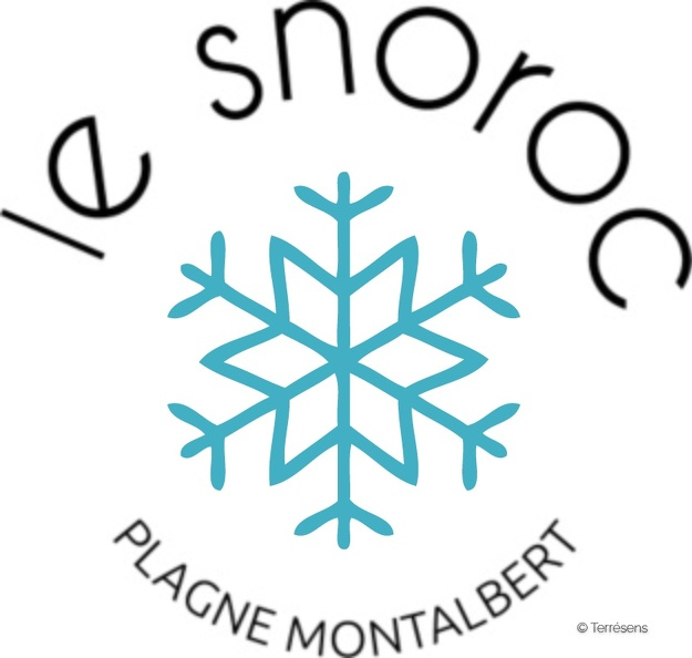 LOGO PLAGNE MONTALBERT.jpg