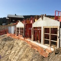 IMG 0324