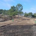 Comporta Travaux7