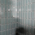 IMG 20201126 095915