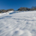DJI 0057