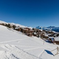 DJI 0217