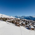 DJI 0236