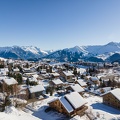 DJI 0241