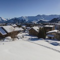DJI 0247