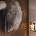 20240805-megeve-2077