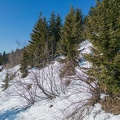 DJI 0104