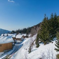 DJI 0115