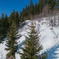 DJI 0116