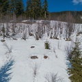 DJI 0117