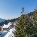 DJI 0137