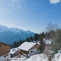 DJI 0165