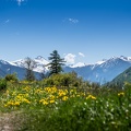 114- Salle Les Alpes TERRESENS©ManuReyboz