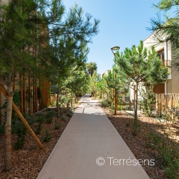 Juillet 2025 - Appartements et parties communes