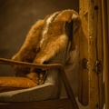 20250708-DSC 5415-champagny