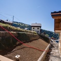  DSC5954