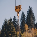 20260423-DNZ 7528-morok