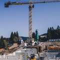 20260423-DNZ 7539-morok
