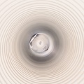 20260423-DNZ 7570-morok