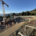 IMG 1479