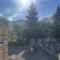IMG 1668