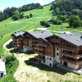 DJI 0036